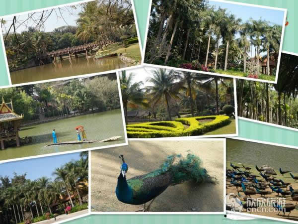 ��˫���ɹ��Դ�ȫ