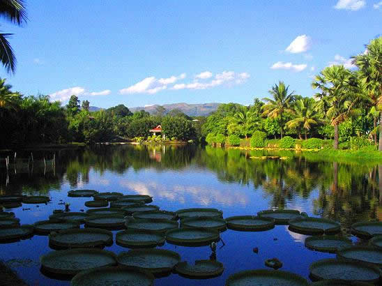 ����ֲ��԰