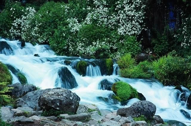 ��ˮ���ٲ�